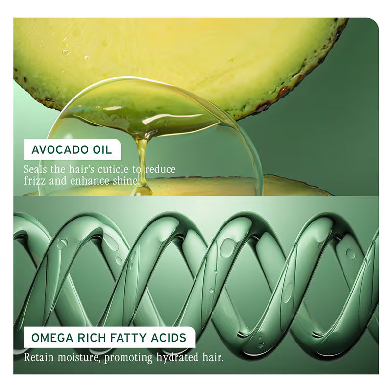 Biolage Smoothproof Anti-Frizz Shampoo & Conditioner Combo (400ml + 236ml) Matrix