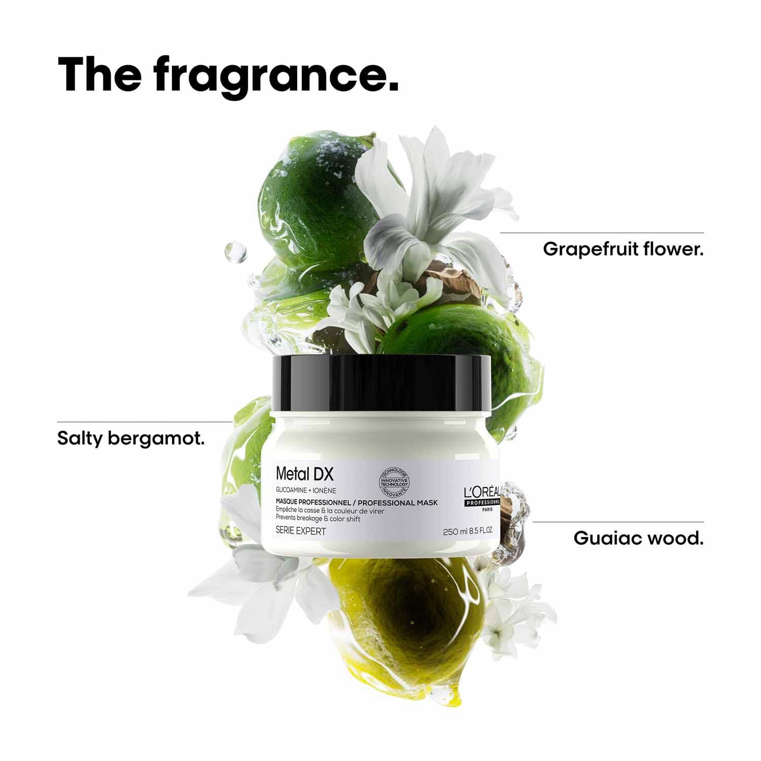 L’Oréal Professionnel Metal DX Anti-Deposit Protector Hair Mask - 250ml | Professional Mask for Less Breakage, Get Strong & Shiny Hair | With Glicoamine | For Men & Women Loreal Professional