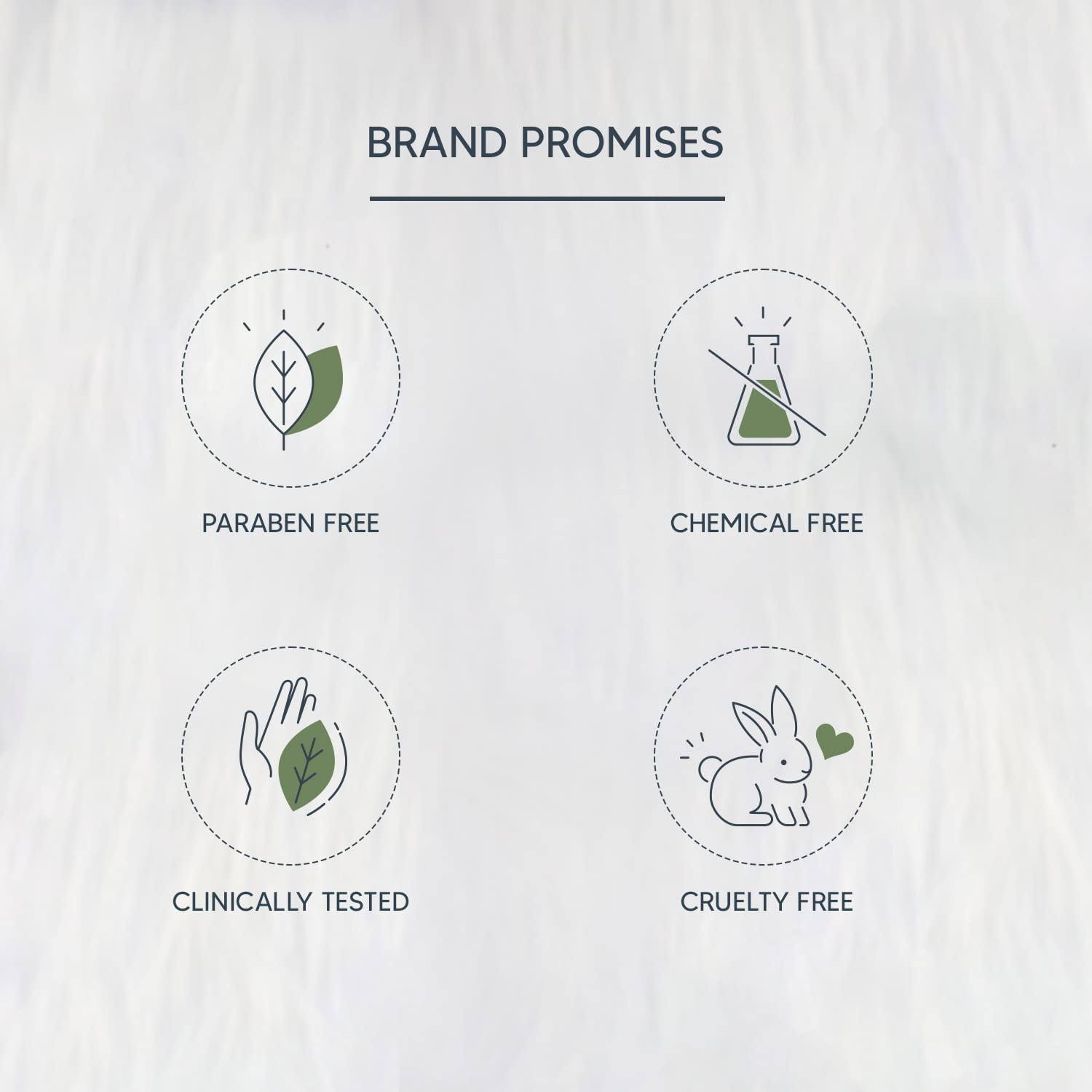 Icons representing brand promises on a white background
