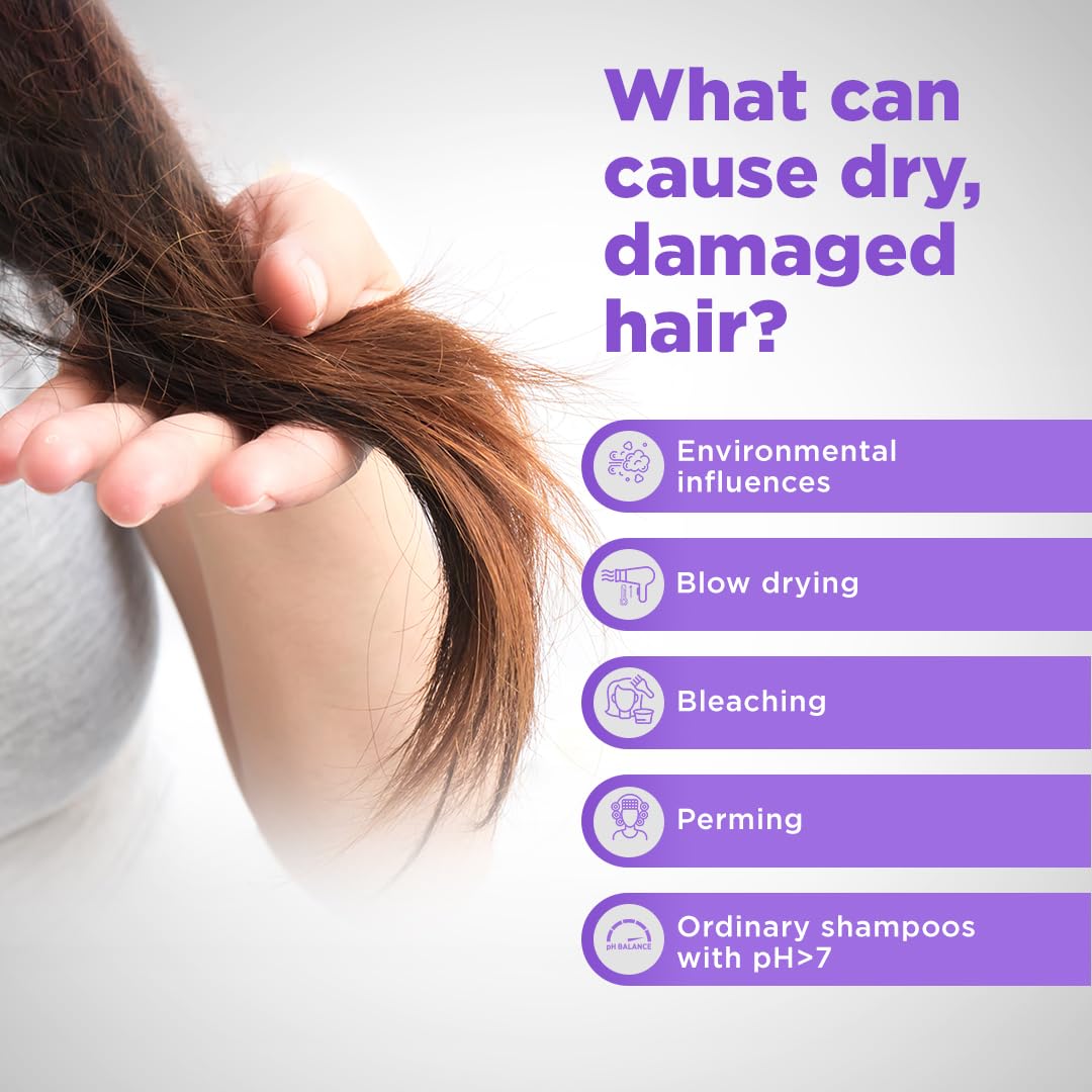 Sebamed Hair Repair Shampoo 200 ml | pH 5.5 | Reduces Hair Dryness by 47% | Plant Protein for Dry & Damaged Hair | Dermatologically Tested | SLS & Paraben Free Sebamed