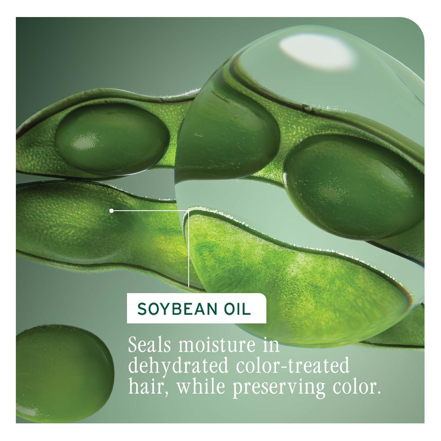Biolage Colorlast Professional Conditioner (100ml) Matrix