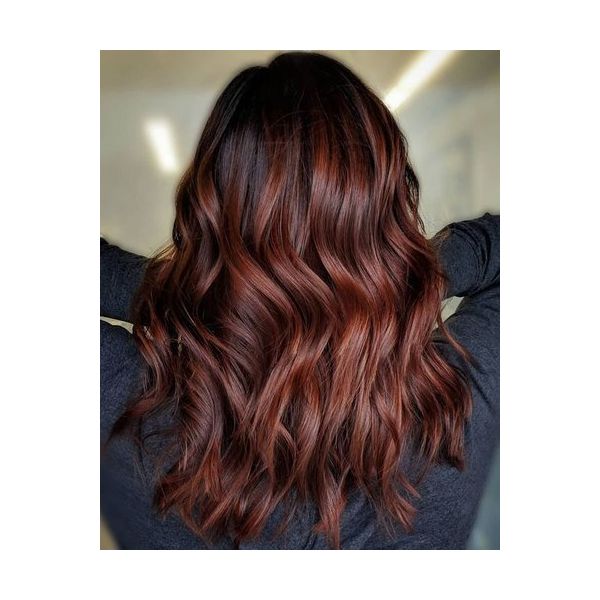 L'oreal Professionnel Paris INOA Ammonia-free Permanent Hair Color - 4.20 (Extra Burgendy Brown) - Niram Global Private Limited