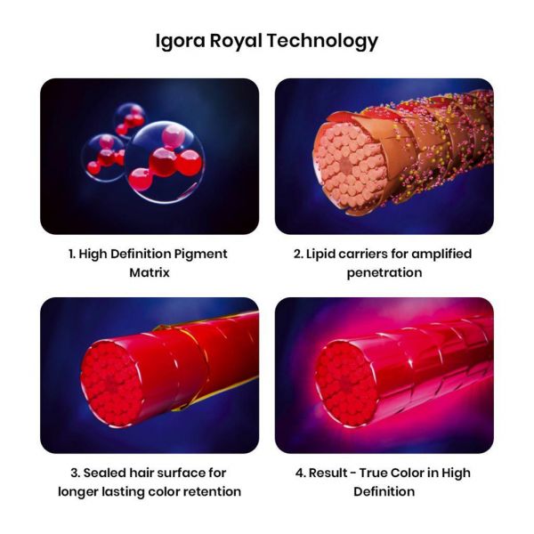 Schwarzkopf professional igora royal fashion lights permanent highlight color creme L-00 - Niram Global Private Limited