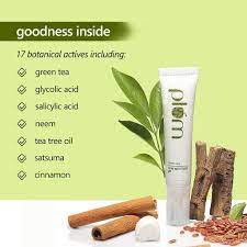 Plum Green Tea clear spot-light gel 15ml - Niram Global Private Limited