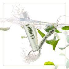 Plum Green Tea Revitalizing Face Mist (100ml) - Niram Global Private Limited