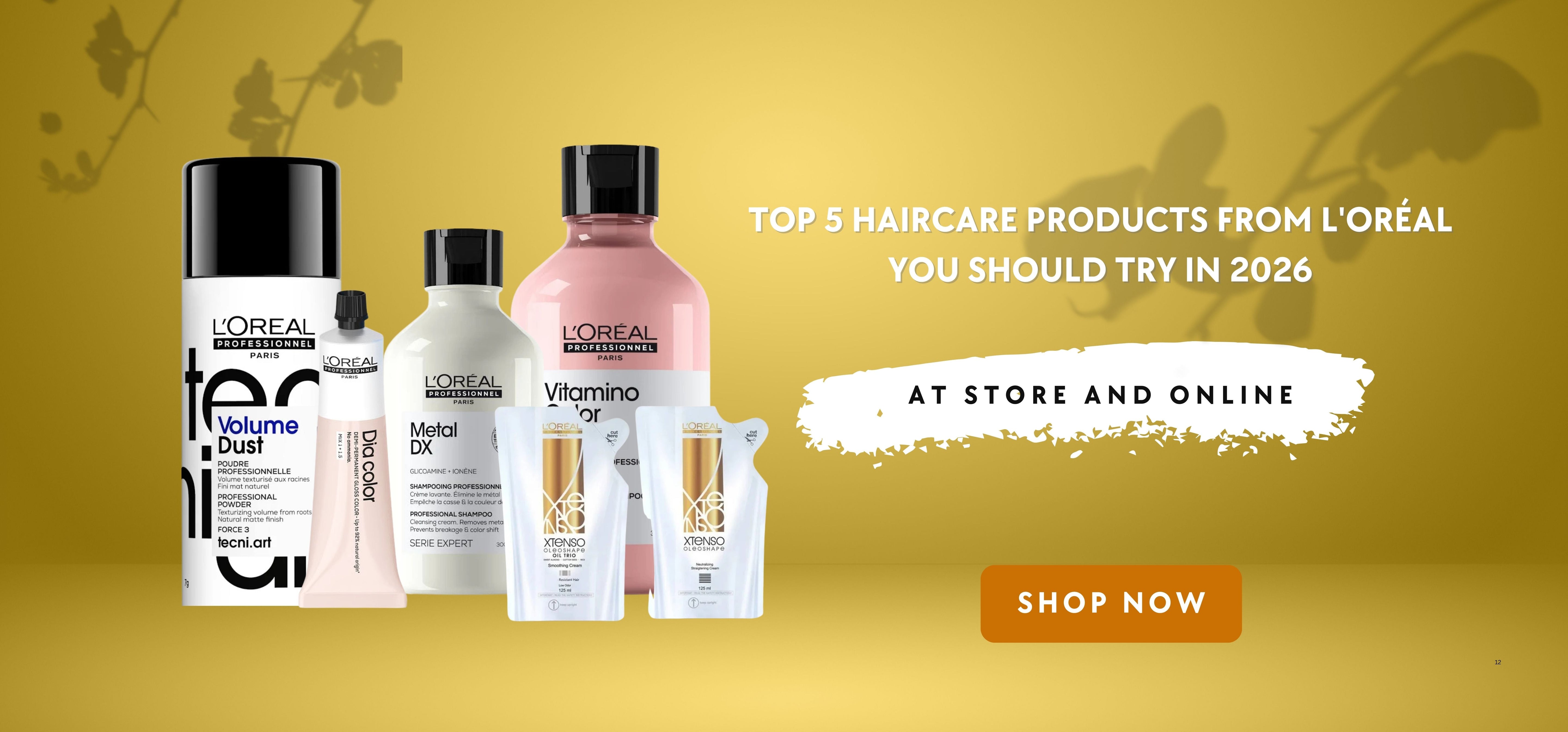 Top 5 Haircare Products from L'Oréal You Should Try in 2026