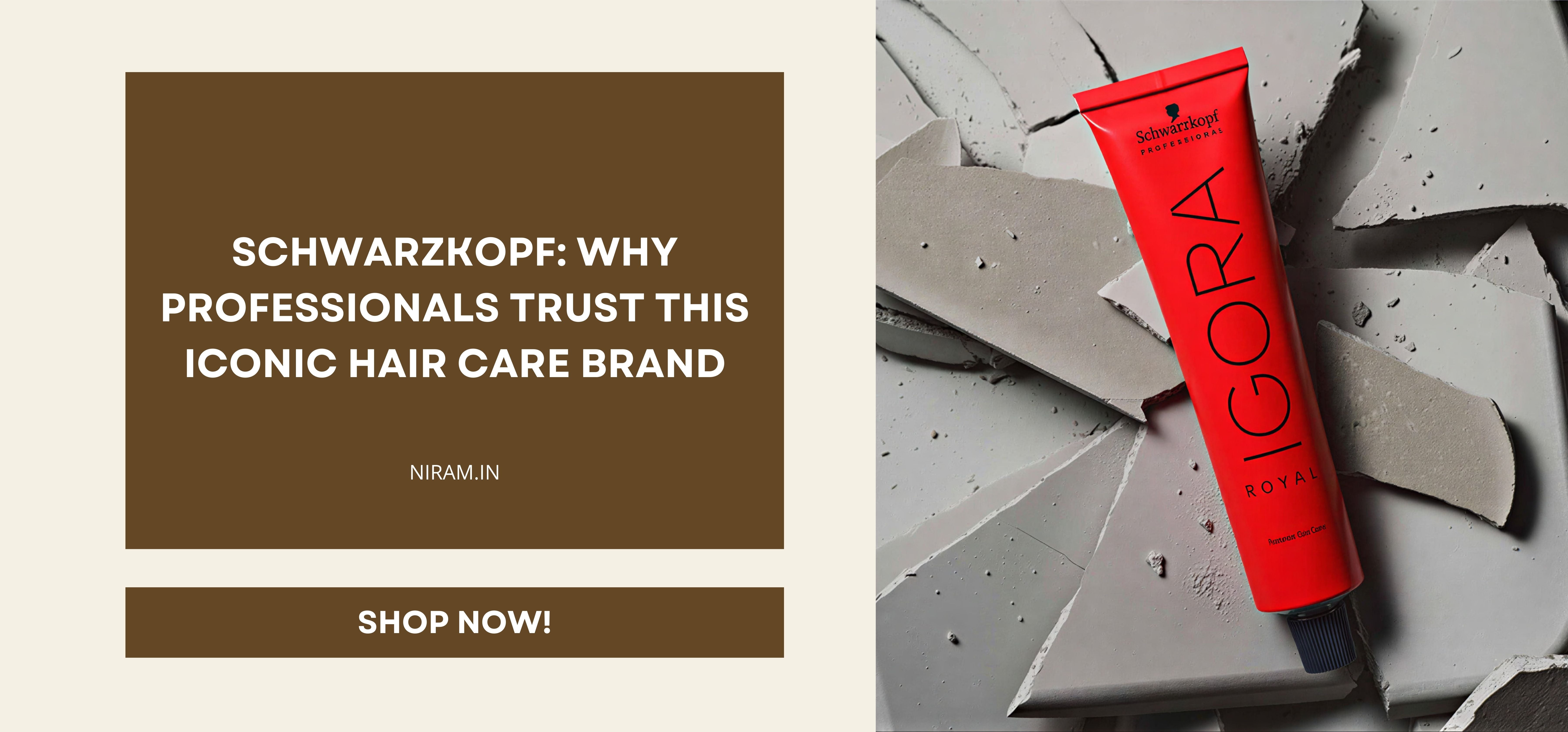 Schwarzkopf: Why Professionals Trust This Iconic Hair Care Brand