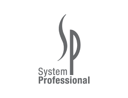 SYSTEM PROFESSIONAL - Niram Global Private Limited