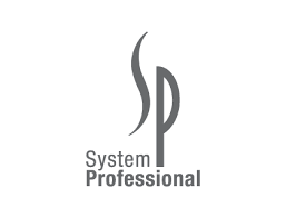SYSTEM PROFESSIONAL - Niram