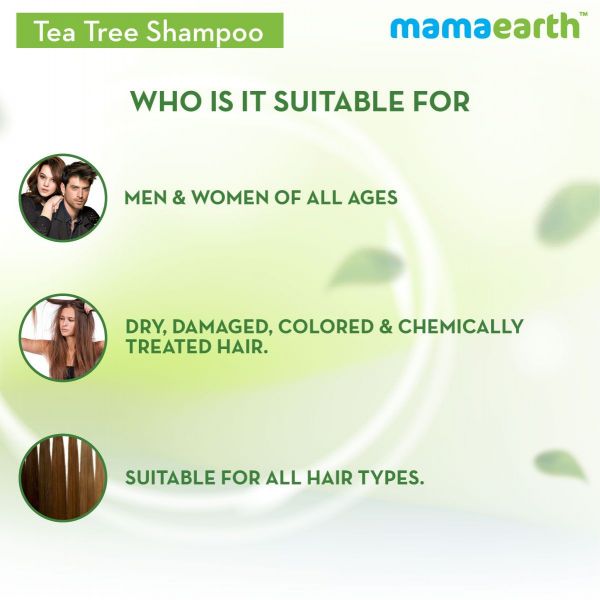 Mamaearth Tea Tree Anti Dandruff Shampoo, With Tea Tree & Ginger Oil, 250ml - Niram Global Private Limited