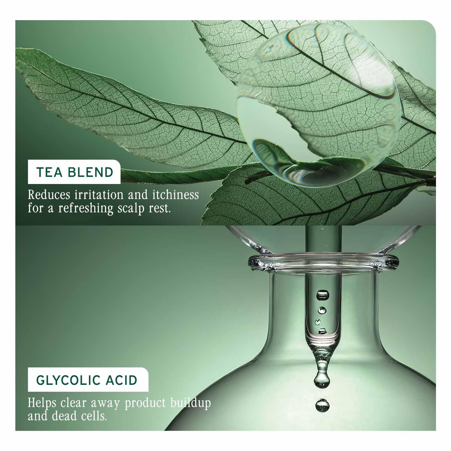 Biolage Scalp Sync Universal Conditioner For All Scalp Types (100ml) Matrix