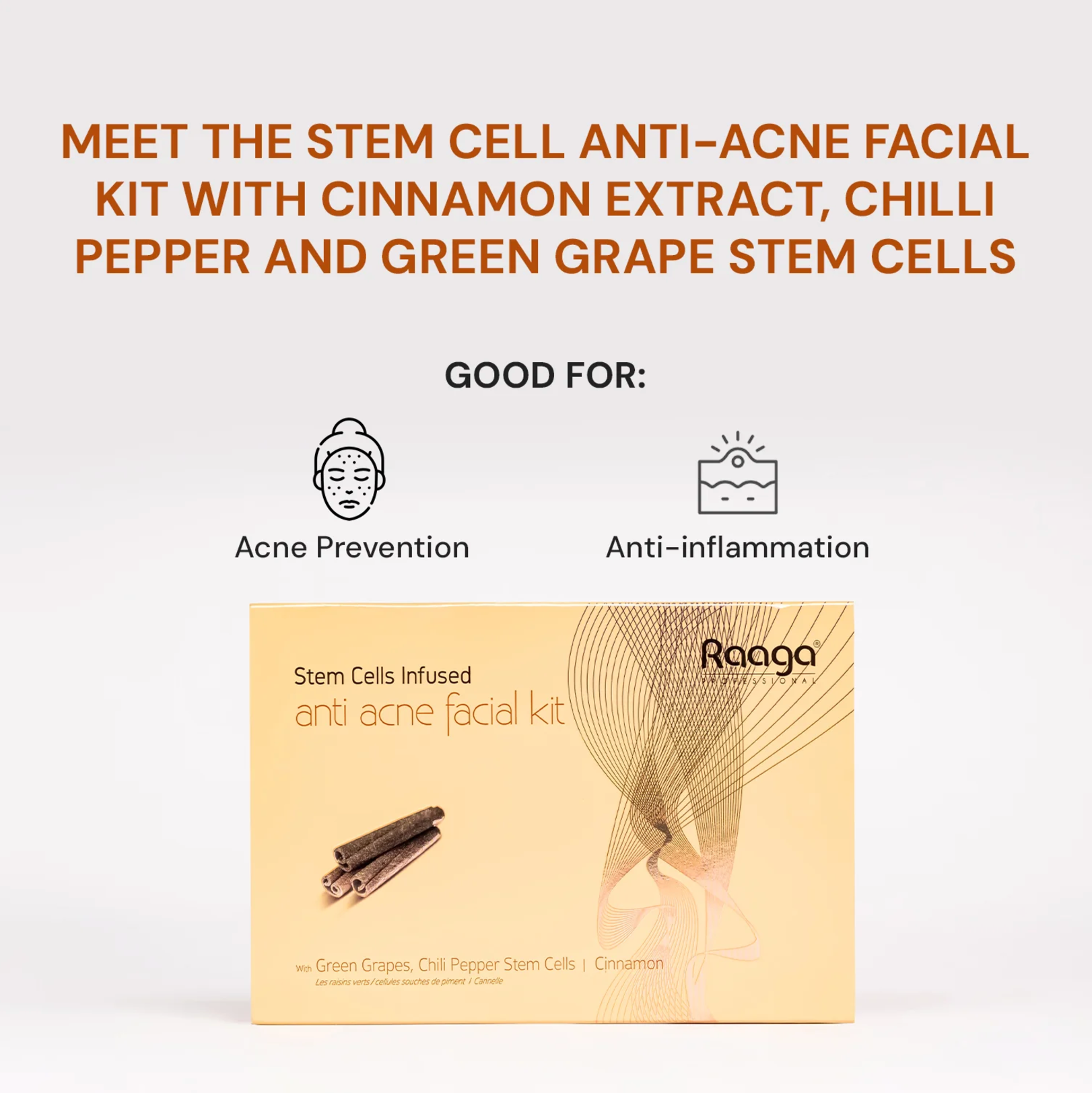 User-friendly Raaga Professional Stemcell Facial Kit providing professional skincare at home.