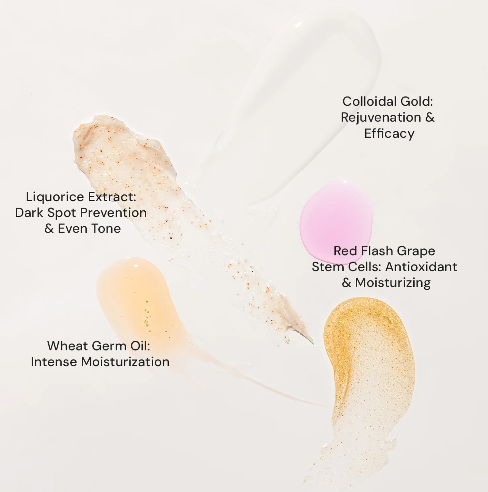 Raaga Professional Stem Cells Infused Gold 6 Step Facial Kit | Gold Colloid, Red Flesh Grape Stem Cells | Combats Pigmentation (61 gm) Niram Global Private Limited